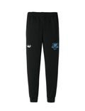 D3 Nation Basketball Jogger