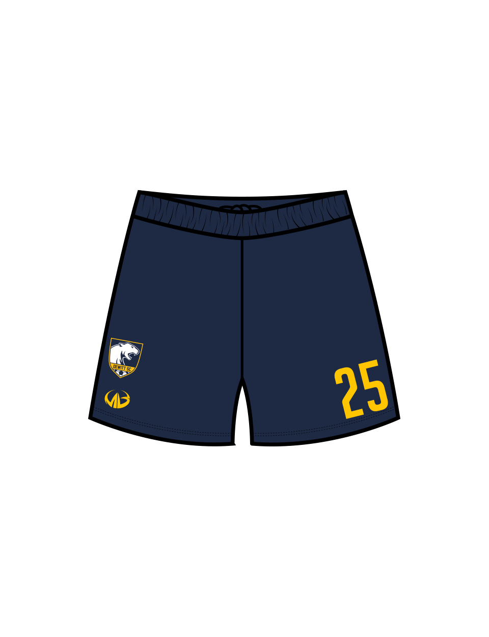 DeWitt SC Spirit Wear Game Kit