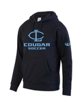 Lansing Catholic Boys Soccer Hoodie