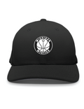 Michigan Mystics Performance Flexfit Hat