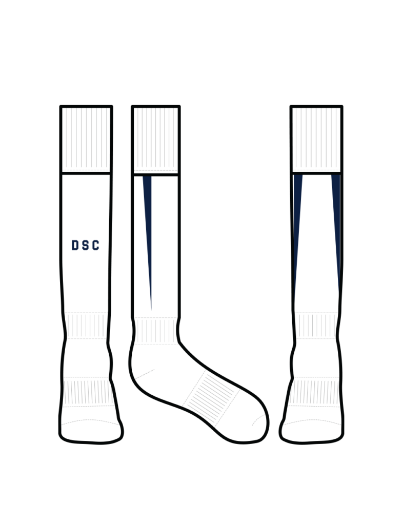 Dewitt SC - Sale Socks - 2 Pair for $10