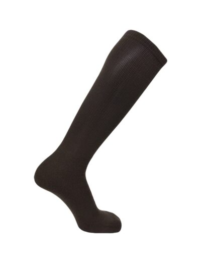Holt Jr Rams Baseball – Socks